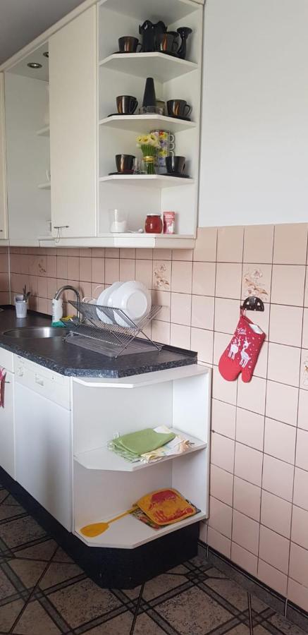 Swierkowy Zakatek Krasnobród Exteriör bild