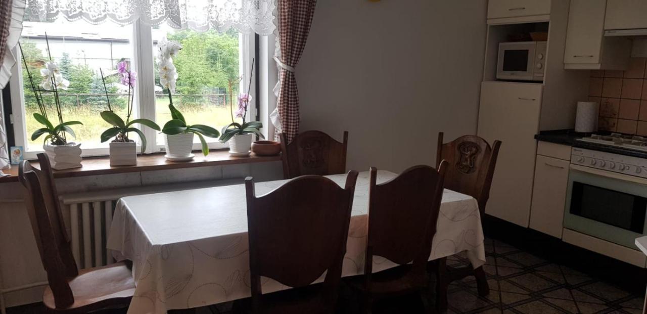 Swierkowy Zakatek Krasnobród Exteriör bild
